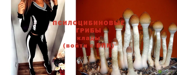 гидропоника Бронницы