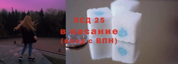 гашик Богородицк