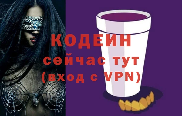 соль ск Бородино