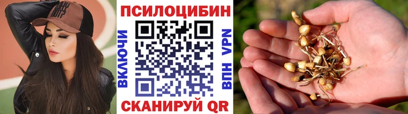 Купить  Кологрив  Псилоцибиновые грибы прущие грибы 