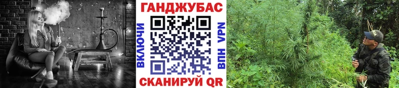 Купить где  Кологрив  Шишки марихуана LSD WEED 